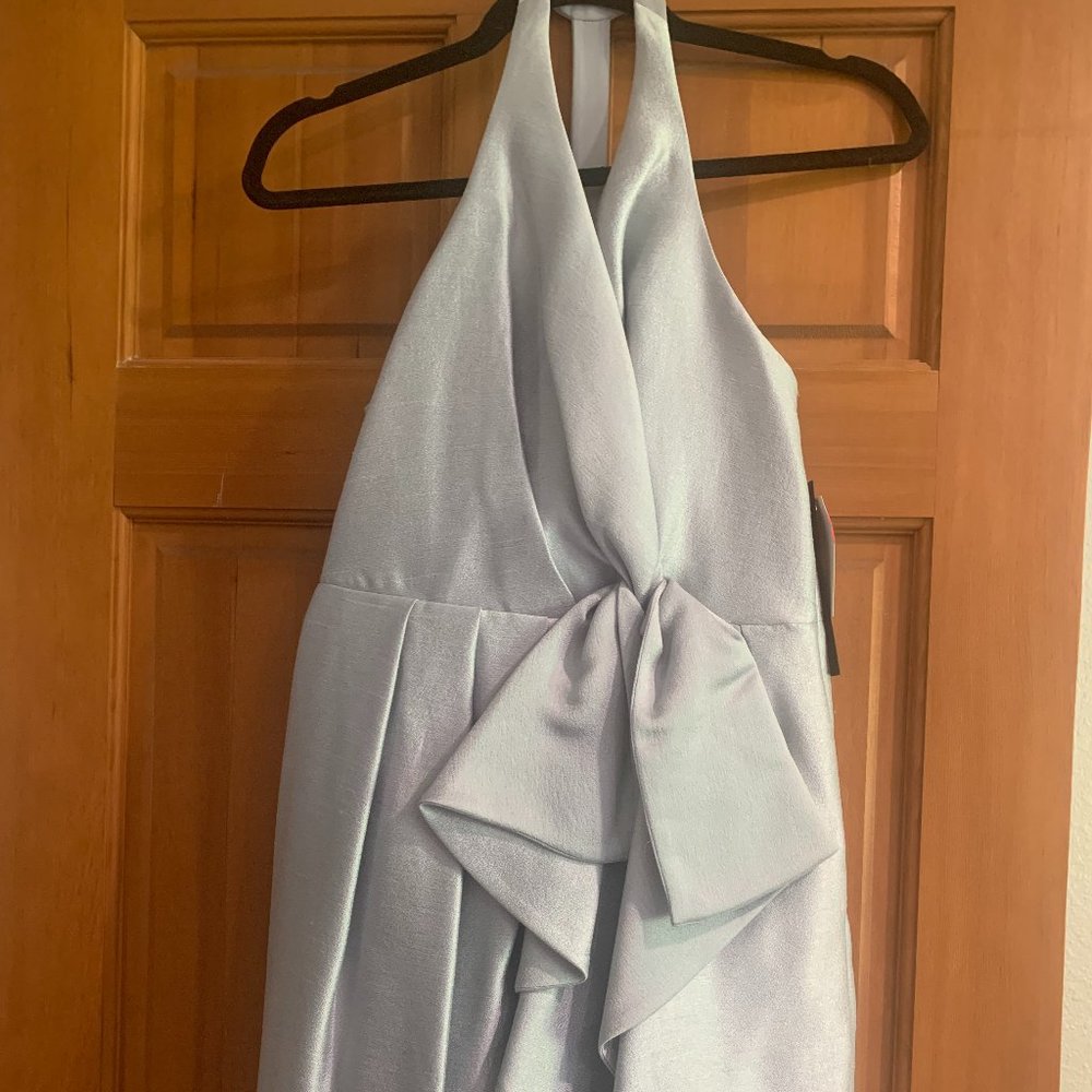 Cynthia Steffe Dress